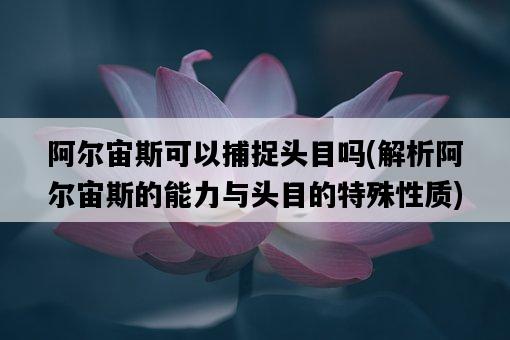 阿爾宙斯可以捕捉頭目嗎，解析阿爾宙斯的能力與頭目的特殊性質-圖1