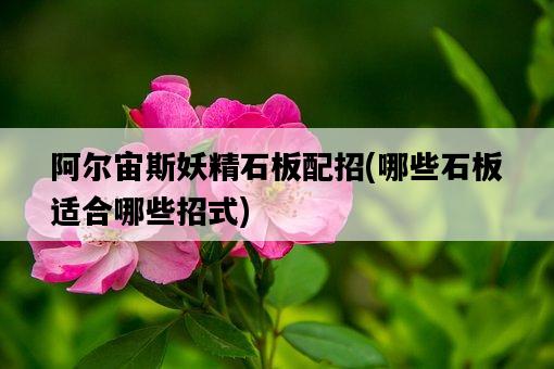 阿爾宙斯妖精石板配招，哪些石板適合哪些招式-圖1