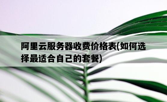阿里云服務器收費價格表，如何選擇最適合自己的套餐-圖1