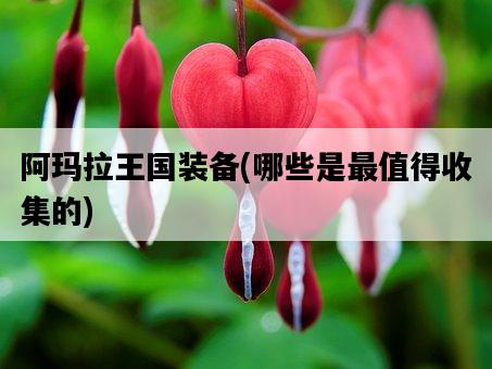 阿瑪拉王國裝備，哪些是最值得收集的-圖1