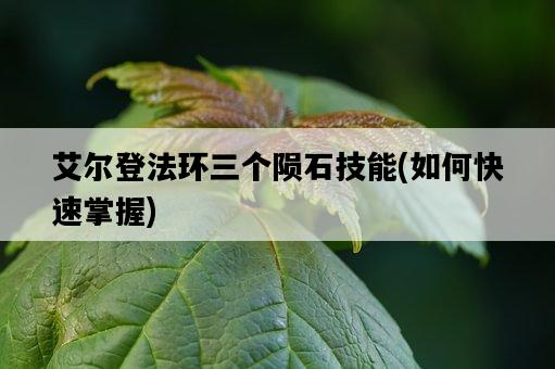艾爾登法環三個隕石技能，如何快速掌握-圖1