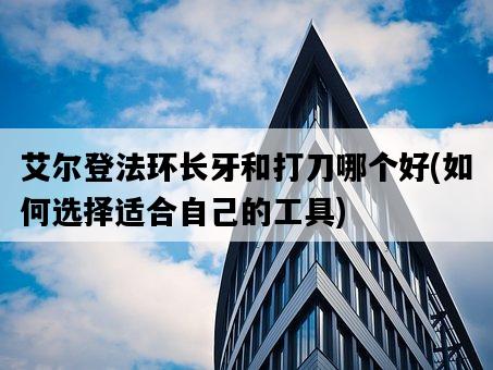 艾爾登法環長牙和打刀哪個好，如何選擇適合自己的工具-圖1