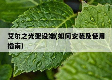 艾爾之光架設端，如何安裝及使用指南-圖1