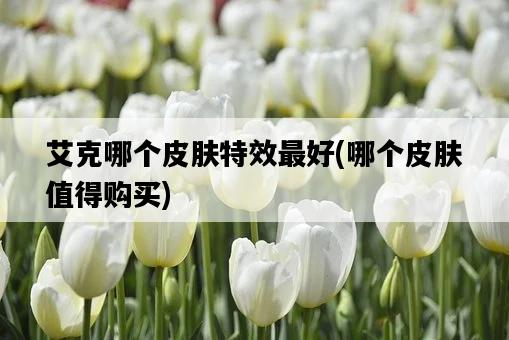 艾克哪個皮膚特效最好，哪個皮膚值得購買-圖1