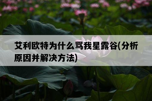 艾利歐特為什么罵我星露谷，分析原因并解決方法-圖1