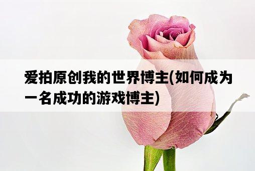 愛拍原創我的世界博主，如何成為一名成功的游戲博主-圖1