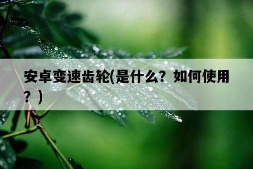 安卓變速齒輪，是什么？如何使用？-圖1