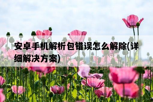 安卓手機解析包錯誤怎么解除，詳細解決方案-圖1