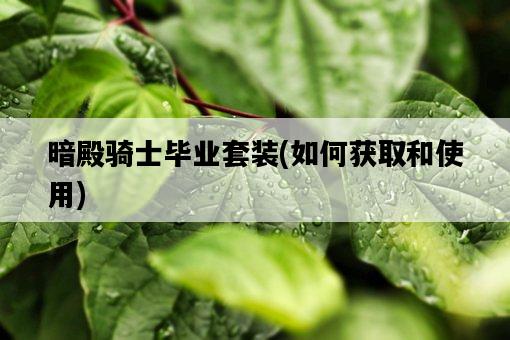 暗殿騎士畢業套裝，如何獲取和使用-圖1