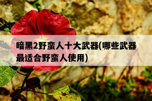 暗黑2野蠻人十大武器，哪些武器最適合野蠻人使用-圖1