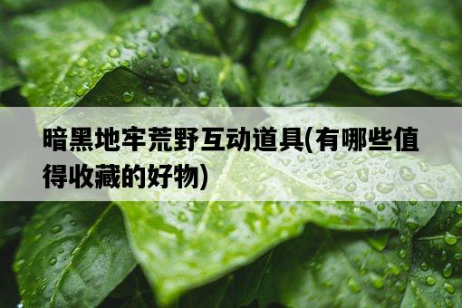 暗黑地牢荒野互動道具，有哪些值得收藏的好物-圖1