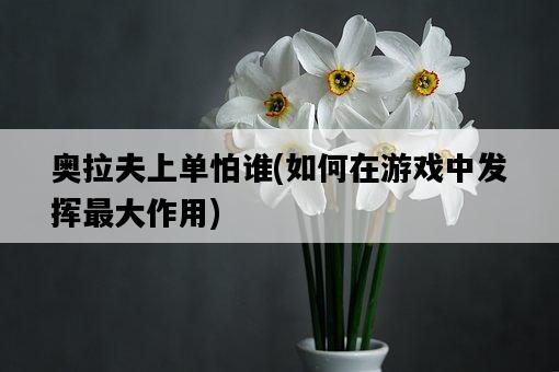 奧拉夫上單怕誰，如何在游戲中發揮最大作用-圖1