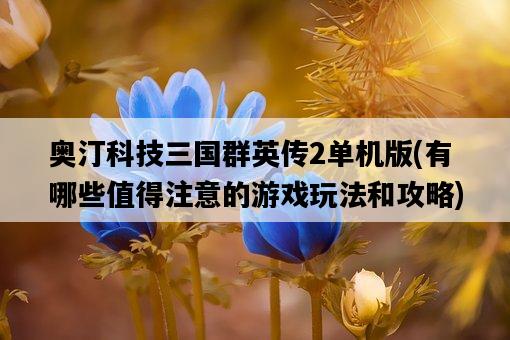 奧汀科技三國群英傳2單機版，有哪些值得注意的游戲玩法和攻略-圖1