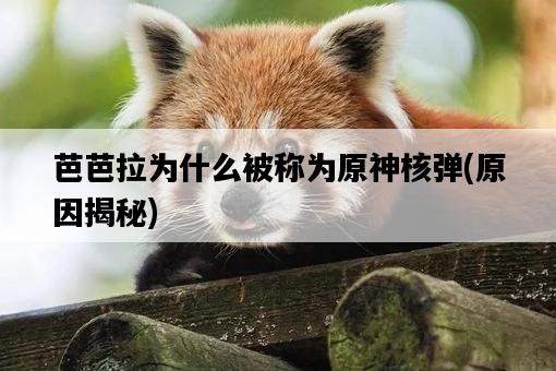 芭芭拉為什么被稱為原神核彈，原因揭秘-圖1