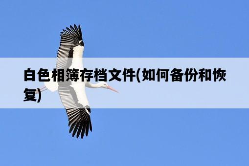白色相簿存檔文件，如何備份和恢復-圖1