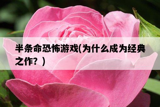半條命恐怖游戲，為什么成為經典之作？-圖1