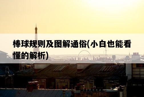 棒球規則及圖解通俗，小白也能看懂的解析-圖1
