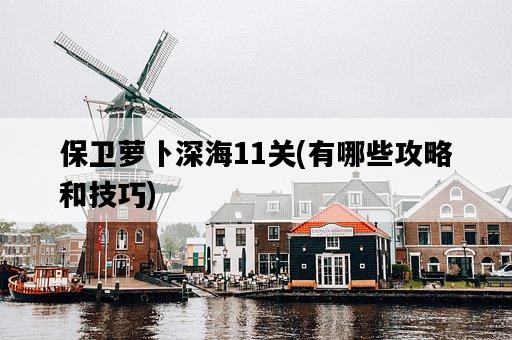 保衛蘿卜深海11關，有哪些攻略和技巧-圖1