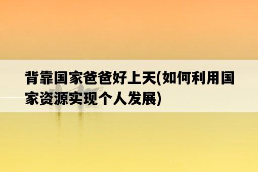背靠國家爸爸好上天，如何利用國家資源實現個人發展-圖1