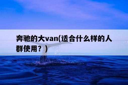 奔馳的大van，適合什么樣的人群使用？-圖1