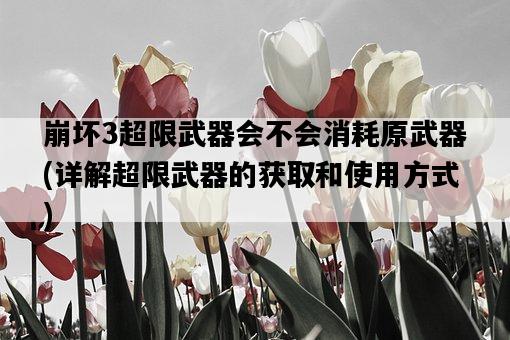崩壞3超限武器會不會消耗原武器，詳解超限武器的獲取和使用方式-圖1