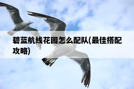 碧藍航線花園怎么配隊，最佳搭配攻略-圖1