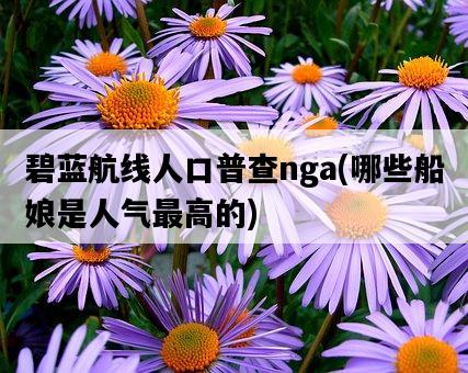碧藍航線人口普查nga，哪些船娘是人氣最高的-圖1