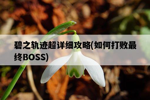 碧之軌跡超詳細攻略，如何打敗最終BOSS-圖1