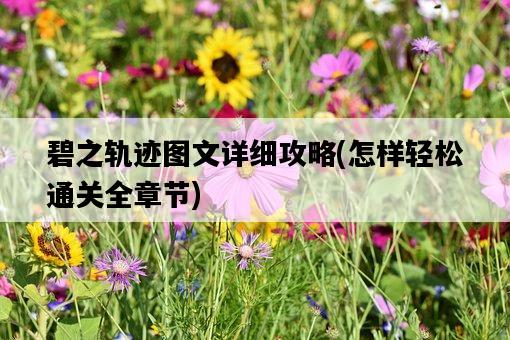 碧之軌跡圖文詳細攻略，怎樣輕松通關全章節-圖1