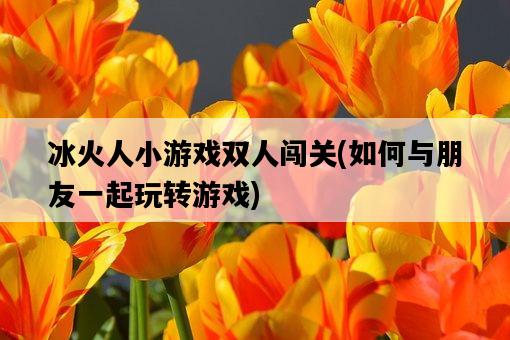 冰火人小游戲雙人闖關，如何與朋友一起玩轉游戲-圖1