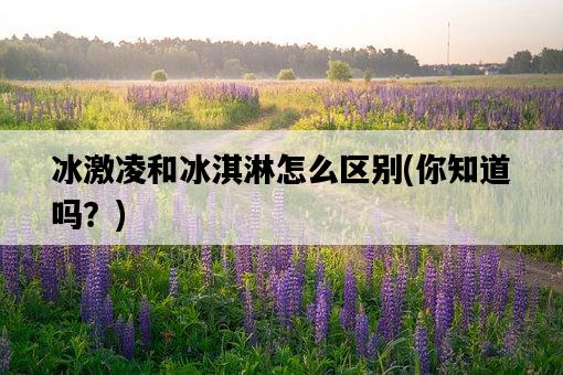 冰激凌和冰淇淋怎么區別，你知道嗎？-圖1