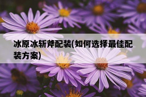 冰原冰斬斧配裝，如何選擇最佳配裝方案-圖1