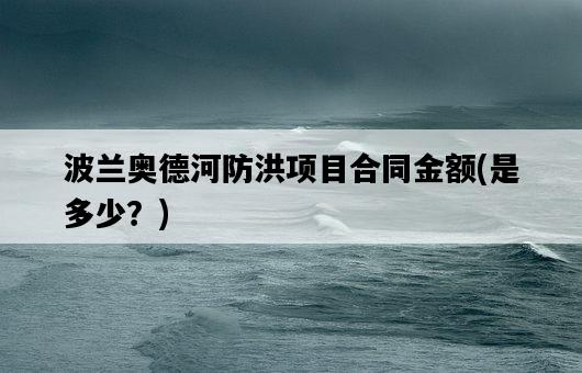 波蘭奧德河防洪項目合同金額，是多少？-圖1