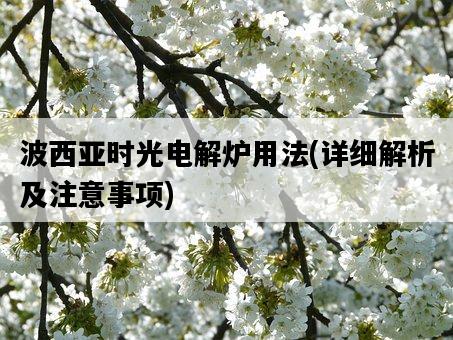 波西亞時光電解爐用法，詳細解析及注意事項-圖1