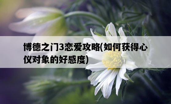 博德之門3戀愛攻略，如何獲得心儀對象的好感度-圖1