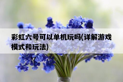彩虹六號可以單機玩嗎，詳解游戲模式和玩法-圖1