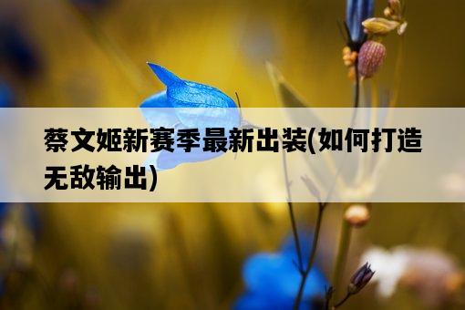蔡文姬新賽季最新出裝，如何打造無敵輸出-圖1