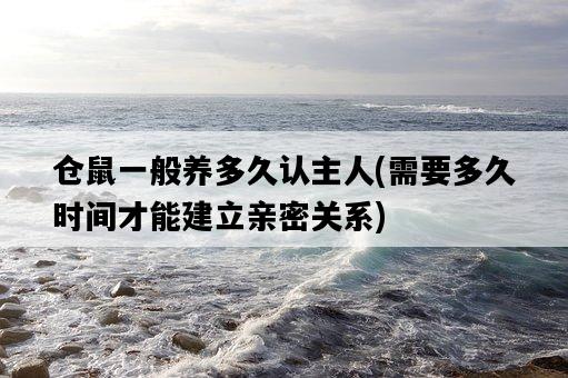 倉鼠一般養多久認主人，需要多久時間才能建立親密關系-圖1