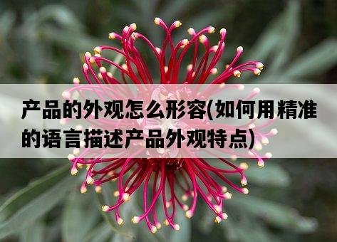 產品的外觀怎么形容，如何用精準的語言描述產品外觀特點-圖1