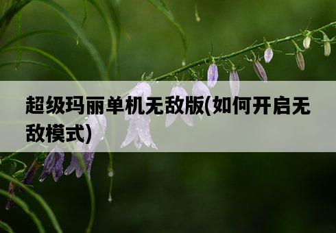 超級瑪麗單機無敵版，如何開啟無敵模式-圖1