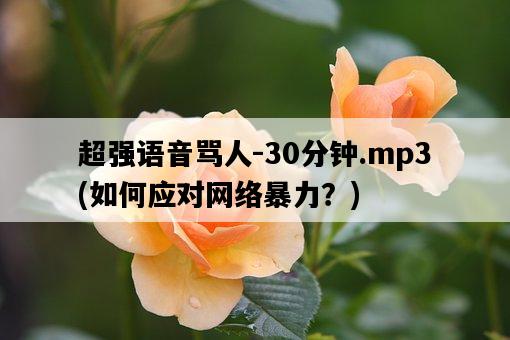 超強語音罵人-30分鐘.mp3，如何應對網絡暴力？-圖1