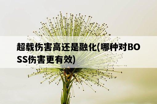超載傷害高還是融化，哪種對BOSS傷害更有效-圖1