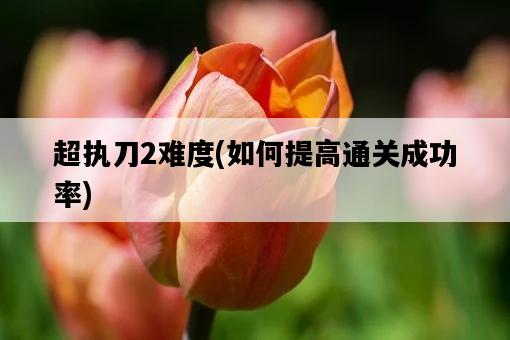 超執刀2難度，如何提高通關成功率-圖1