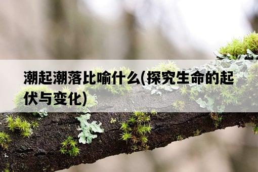 潮起潮落比喻什么，探究生命的起伏與變化-圖1