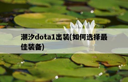 潮汐dota1出裝，如何選擇最佳裝備-圖1