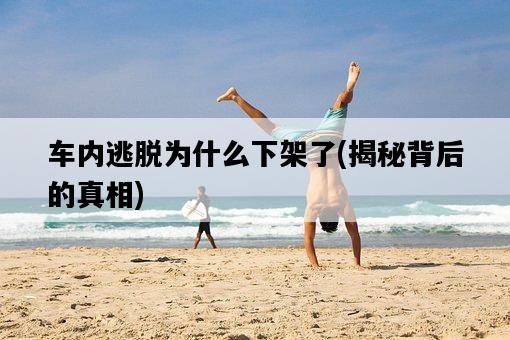 車內逃脫為什么下架了，揭秘背后的真相-圖1