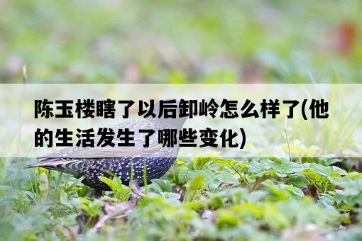 陳玉樓瞎了以后卸嶺怎么樣了，他的生活發生了哪些變化-圖1