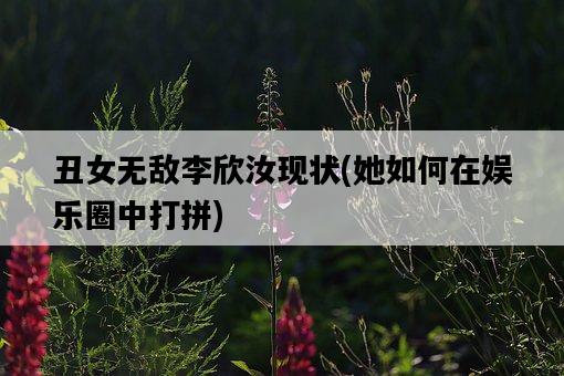 丑女無敵李欣汝現狀，她如何在娛樂圈中打拼-圖1