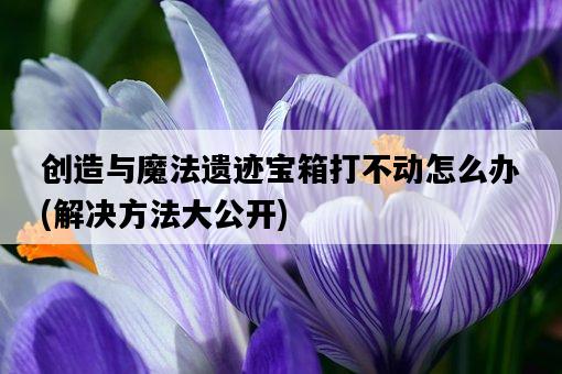 創造與魔法遺跡寶箱打不動怎么辦，解決方法大公開-圖1