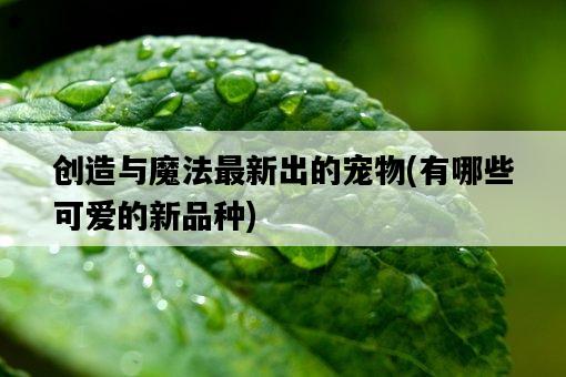 創造與魔法最新出的寵物，有哪些可愛的新品種-圖1